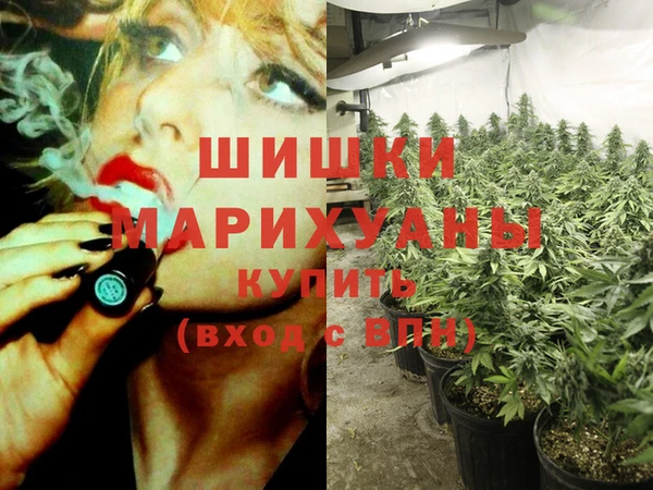 СК Аркадак